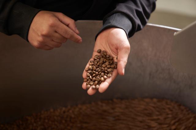 Thermoplan kaffemaskine brygger en cappuccino i et glas