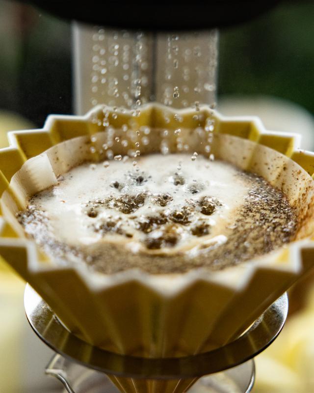 vand hældes over kaffefilter med kaffe til brygning