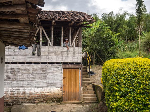 mand kigger ud fra hus paa kaffefarm i colombia 
