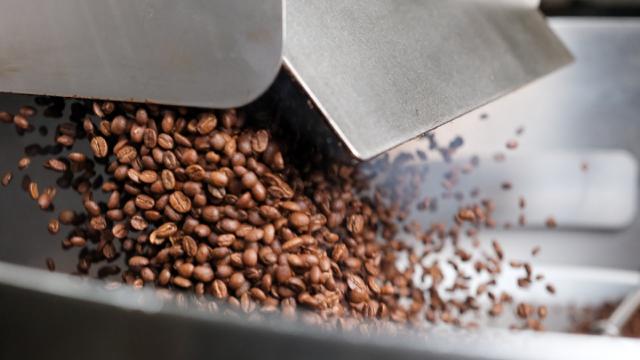 Friskristede kaffebønner lukkes ud af kafferister