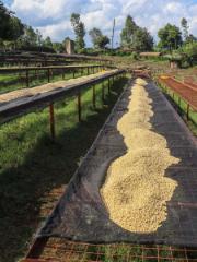 LifestyleB2CQuaternaryImageWebName  